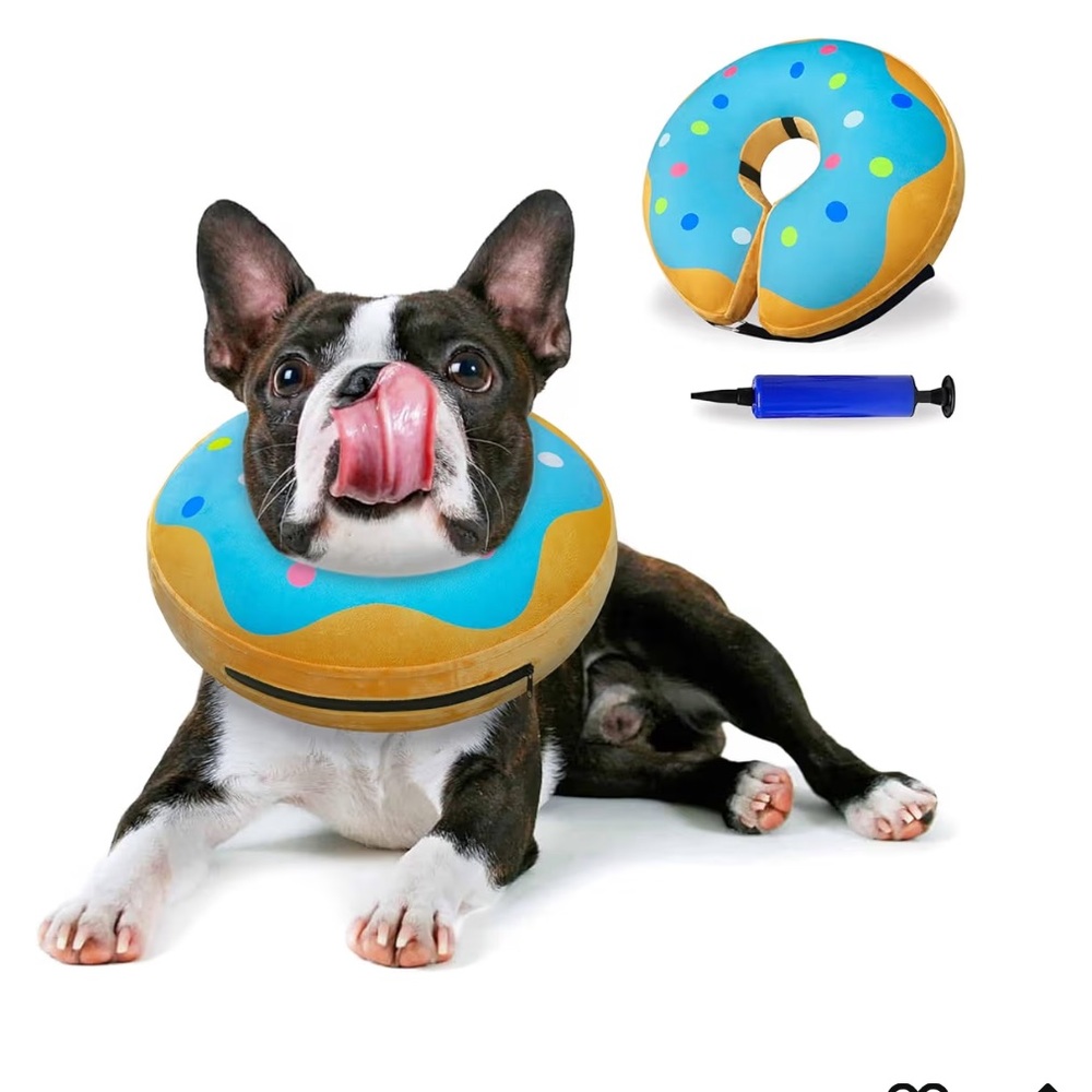 Inflatable Donut Recovery Collar for Dogs - Blue & Tan